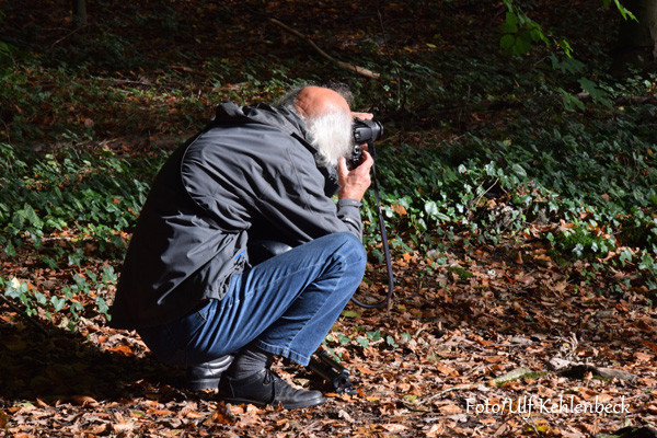 VHS Landschaftsfotografie - Herbst 2014 Foto/Ulf Kehlenbeck