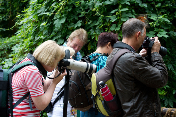 VHS Foto Workshop - Hannover Zoo - 26.07.2014. Leitung Linda Peinemann