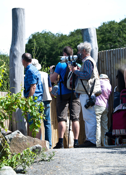 VHS Workshop "Tierfotografie für Fortgeschrittene" 12.07.2014  - Leitung Linda Peinemann