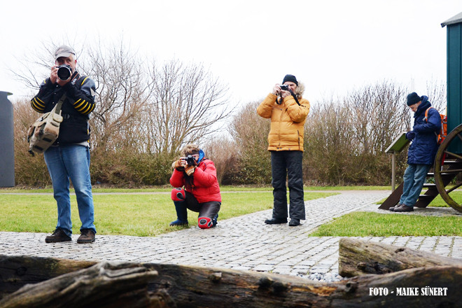 Fotoreise Helgoland - Januar 2015 / Foto: Maike Sünert