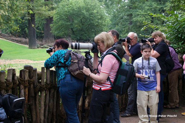 VHS Foto Workshop - Hannover Zoo - 26.07.2014. Leitung Linda Peinemann