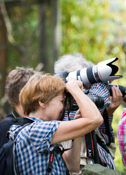 VHS Workshop "Tierfotografie für Fortgeschrittene" 12.07.2014  - Leitung Linda Peinemann