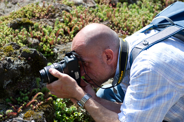 VHS Twistringen - Fotoworkshop Rhodedendrom Park 2013 Landschft/Makro und Flora Fotografie Wer war dabei?