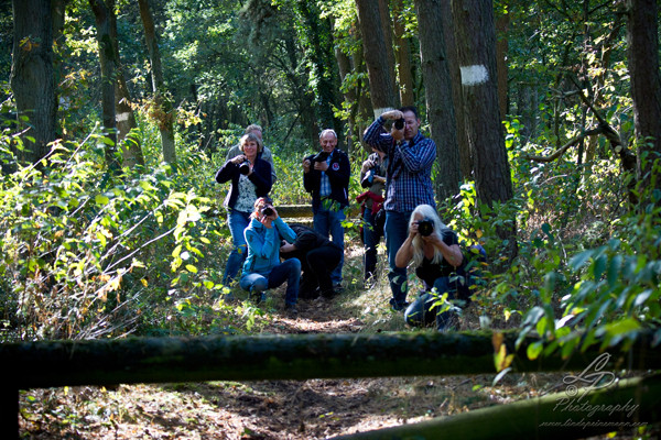 Pferdefotografie - Pferdemuseum Verden September 2014 - Leitung und Fotografie Linda Peinemann