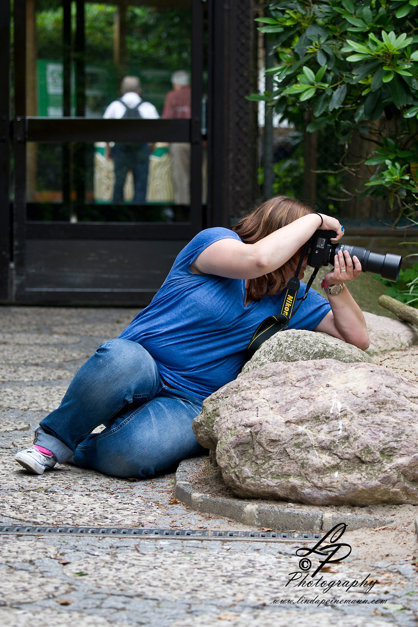 VHS Twistringen Workshop / Vogelpark Walsrode Juni 2014