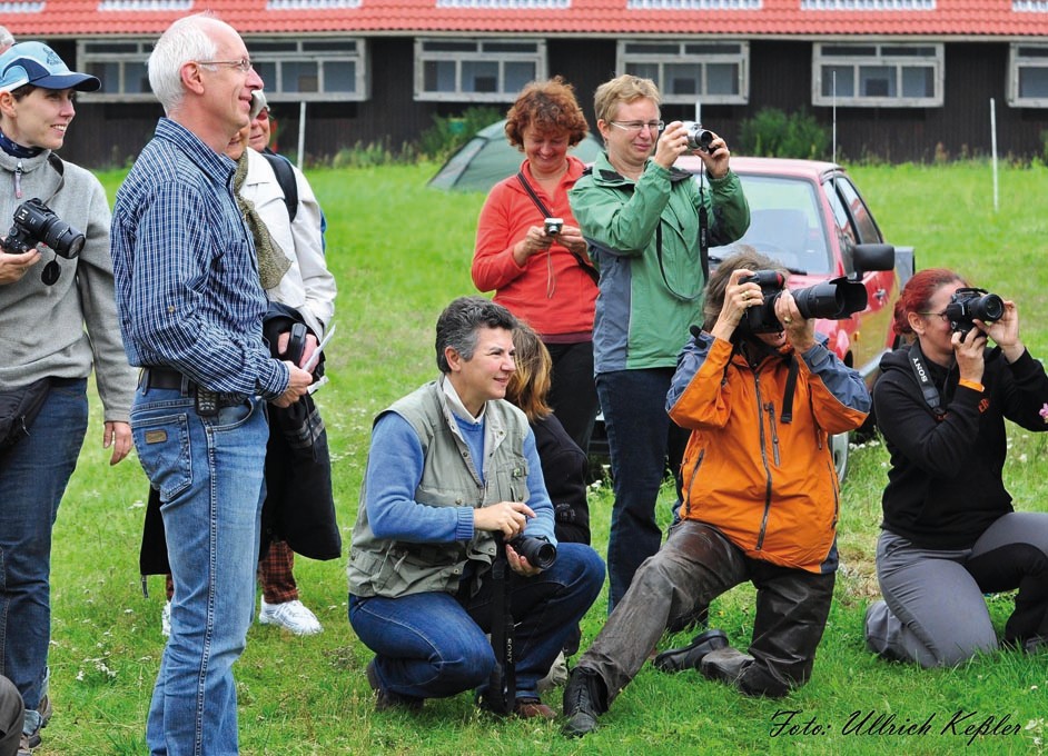 VFD Pferdefotografie Workshop Arendsee - Wir haben viel Spaß gehabt.........