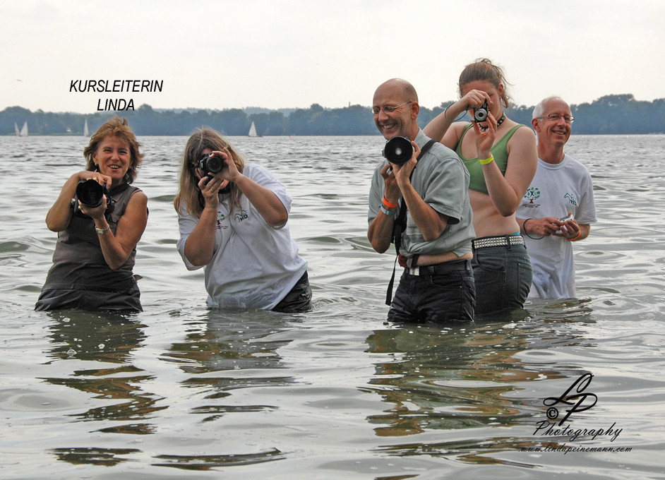 VFD Pferdefotografie Workshop Arendsee - Wir haben viel Spaß gehabt.........