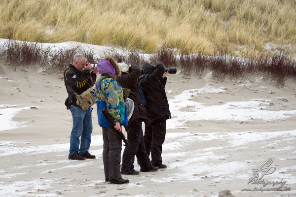 Fotoreise Helgoland - Januar 2015 / Foto: Linda Peinemann