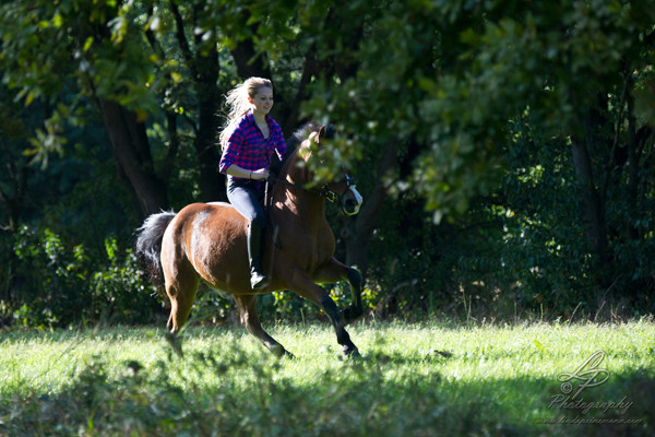 Stimmungsbilder im Stadtwald Verden  - Model Yasmin/Pferdefotografie - Pferdemuseum Verden 09/2014 Leitung & Fotografie Linda Peinemann