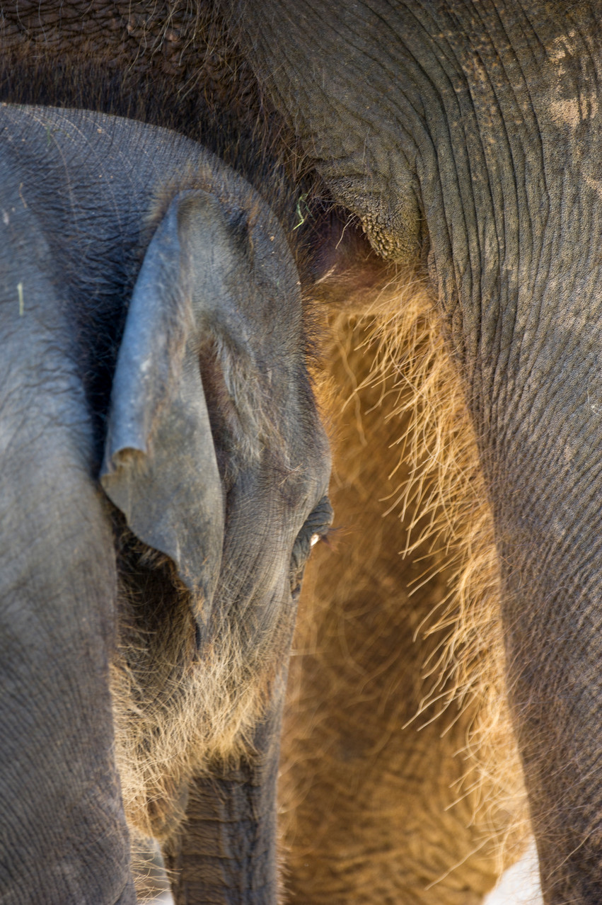 VHS Foto Workshop - Hannover Zoo - 26.07.2014. Leitung Linda Peinemann