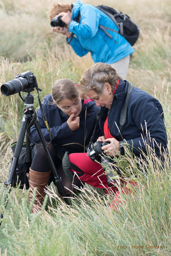 Workshop "Küstenfotografie - Dangast 09/2014" Bilder von Teilnehmer - Horst Seemann