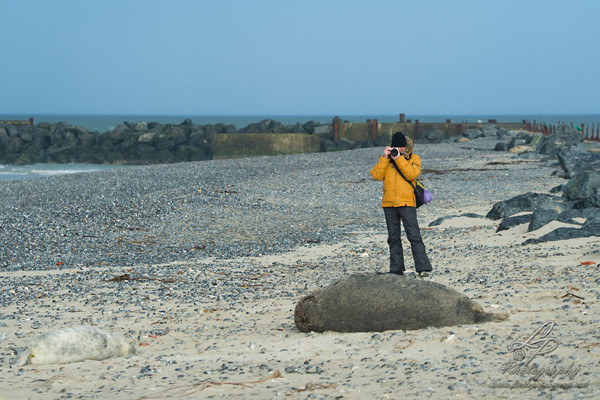 Fotoreise Helgoland - Januar 2015 / Foto: Linda Peinemann