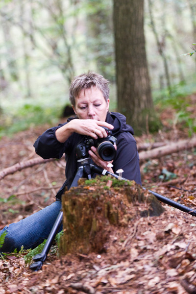 VHS Twistringen Landschaftsfotografie Nov. 2014