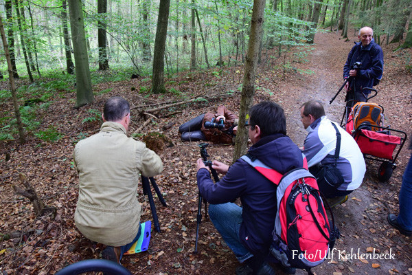 VHS Landschaftsfotografie - Herbst 2014 Foto/Ulf Kehlenbeck