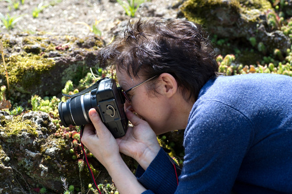 VHS Twistringen - Fotoworkshop Rhodedendrom Park 2013 Landschft/Makro und Flora Fotografie Wer war dabei?