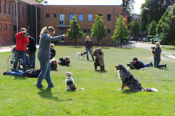 Teil 1 - Hunde Fotografie - Workshop "Pferde & Hundefotografie" Pferdemuseum Verden am 16.08.2014 - Fortsetzungsworkshop für Einsteiger