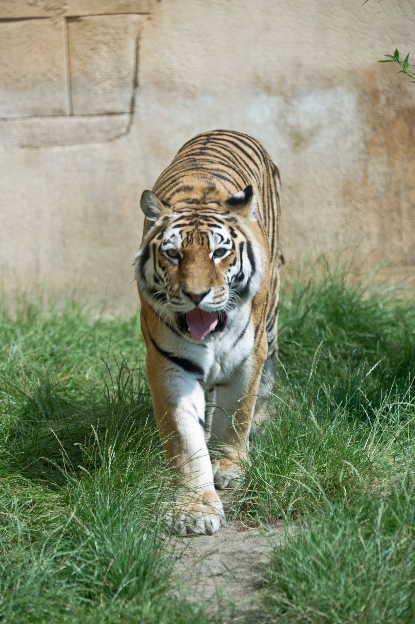 VHS Foto Workshop - Hannover Zoo - 26.07.2014. Leitung Linda Peinemann