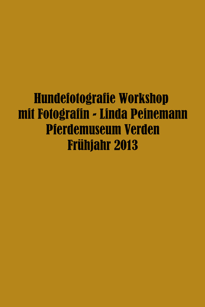 Workshop - Hundefotografie - Frühjahr 2013 - Pferdemuseum Verden. Leitung & Fotografie Linda Peinemann