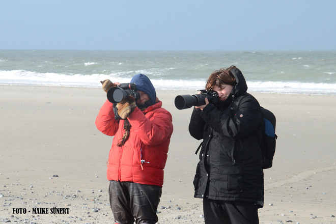 Fotoreise Helgoland - Januar 2015 / Foto: Maike Sünert