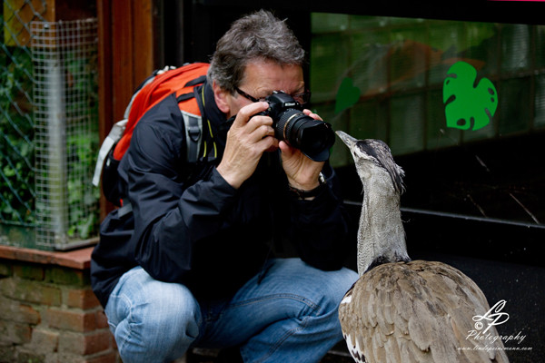 VHS Twistringen Workshop / Vogelpark Walsrode Juni 2014 - Gerd in Aktion