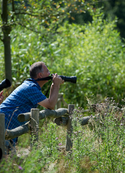 VHS Workshop "Tierfotografie für Fortgeschrittene" 12.07.2014  - Leitung Linda Peinemann