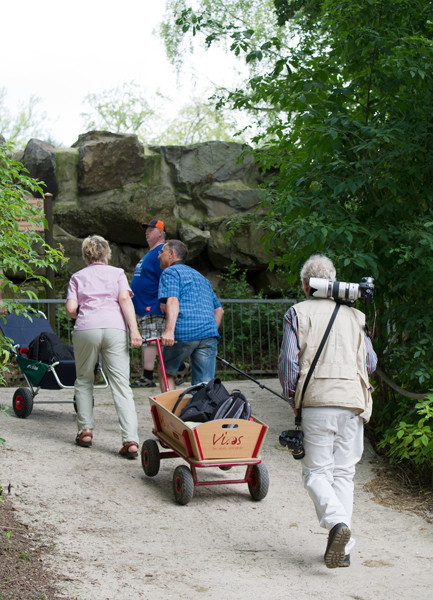 VHS Workshop "Tierfotografie für Fortgeschrittene" 12.07.2014  - Leitung Linda Peinemann