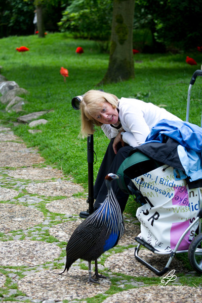 VHS Twistringen Workshop / Vogelpark Walsrode Juni 2014 - Birgit spricht mit ihrem Model