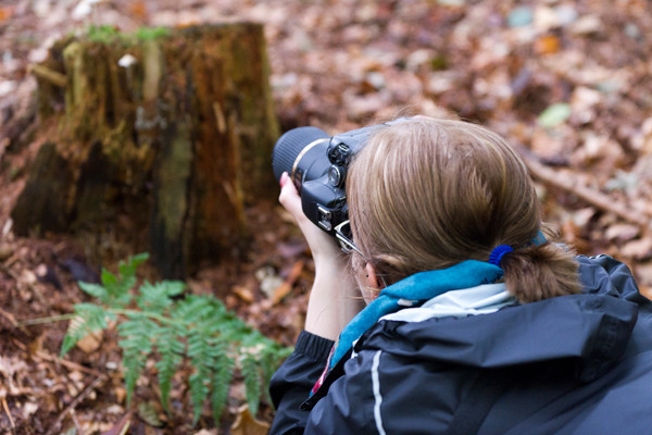 VHS Twistringen Landschaftsfotografie Nov. 2014