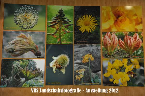 VHS Twistringen -Landschaftsfotografie 2012 - Ausstellung im Rathaus