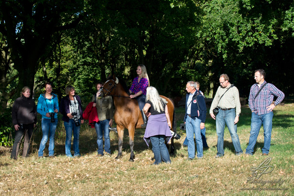 Pferdefotografie - Pferdemuseum Verden September 2014 - Leitung und Fotografie Linda Peinemann