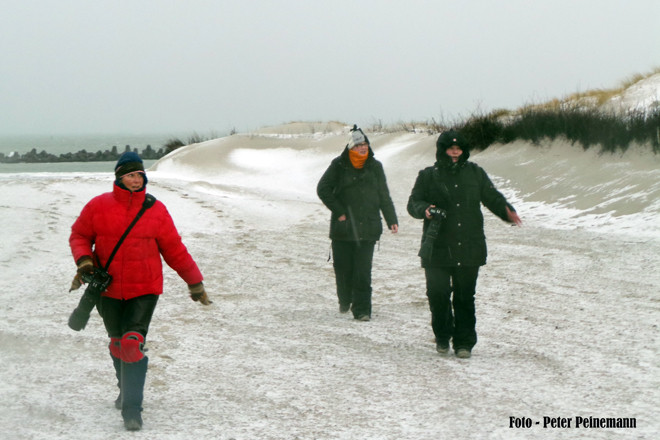 Fotoreise Helgoland - Januar 2015 / Foto: Peter Peinemann