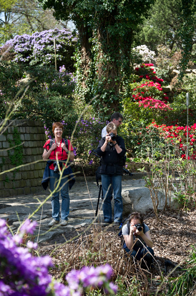 VHS Twistringen - Fotoworkshop Rhodedendrom Park 2013 Landschft/Makro und Flora Fotografie Wer war dabei?