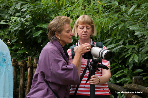 VHS Foto Workshop - Hannover Zoo - 26.07.2014. Leitung Linda Peinemann