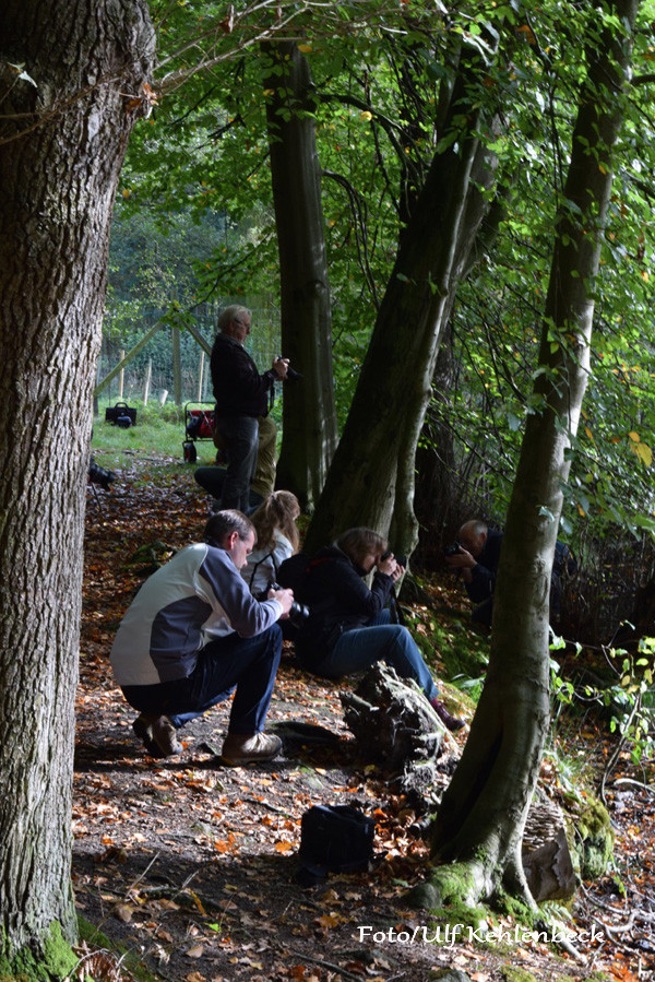 VHS Landschaftsfotografie - Herbst 2014 Foto/Ulf Kehlenbeck