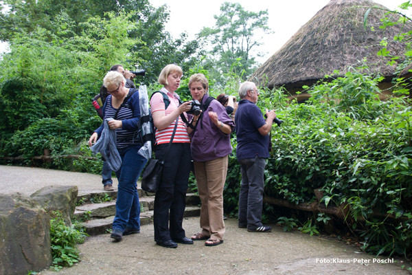 VHS Foto Workshop - Hannover Zoo - 26.07.2014. Leitung Linda Peinemann