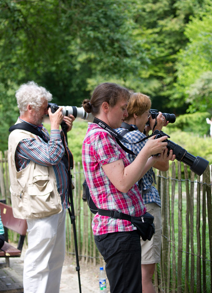 VHS Workshop "Tierfotografie für Fortgeschrittene" 12.07.2014  - Leitung Linda Peinemann