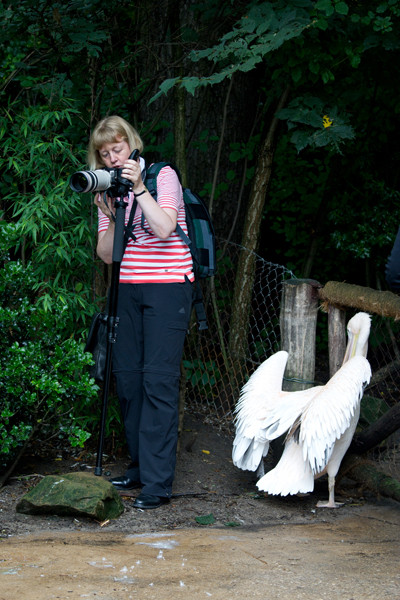 VHS Foto Workshop - Hannover Zoo - 26.07.2014. Leitung Linda Peinemann