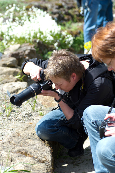 VHS Twistringen - Fotoworkshop Rhodedendrom Park 2013 Landschft/Makro und Flora Fotografie Wer war dabei?