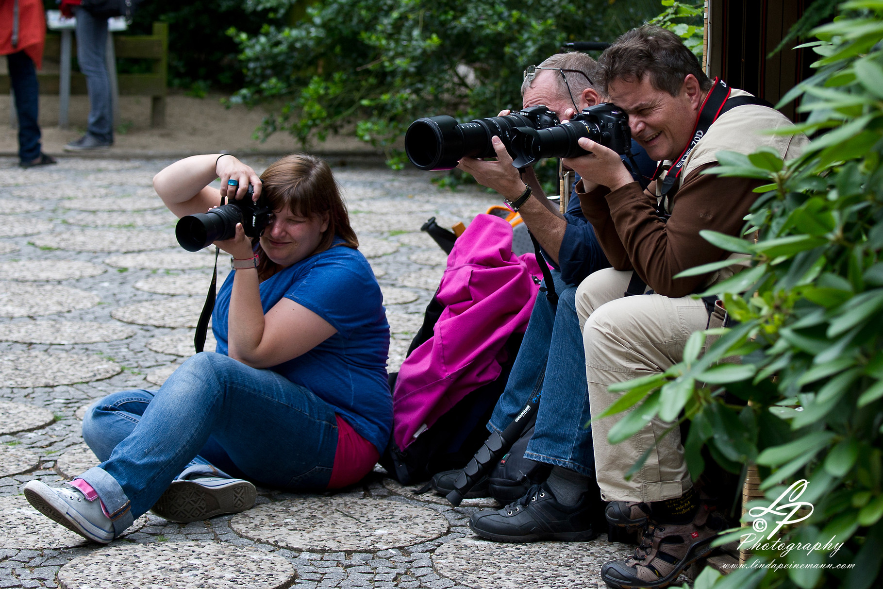 VHS Twistringen Workshop / Vogelpark Walsrode Juni 2014