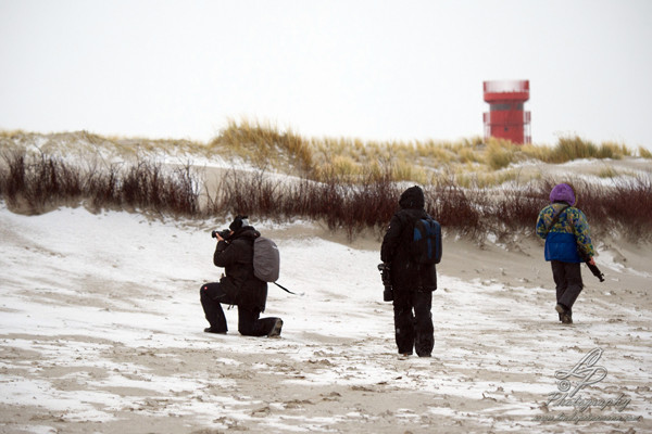 Fotoreise Helgoland - Januar 2015 / Foto: Linda Peinemann