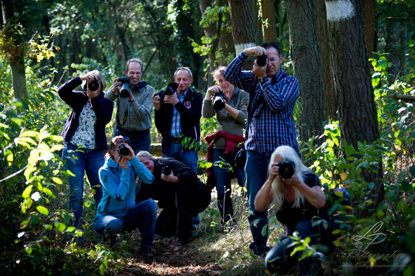 Pferdefotografie - Pferdemuseum Verden September 2014 - Leitung und Fotografie Linda Peinemann