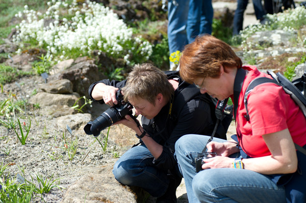 VHS Twistringen - Fotoworkshop Rhodedendrom Park 2013 Landschft/Makro und Flora Fotografie Wer war dabei?