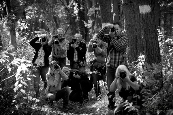 Pferdefotografie - Pferdemuseum Verden September 2014 - Leitung und Fotografie Linda Peinemann