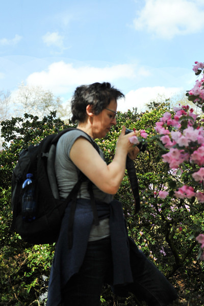 VHS Twistringen - Fotoworkshop Rhodedendrom Park 2013 Landschft/Makro und Flora Fotografie Wer war dabei?