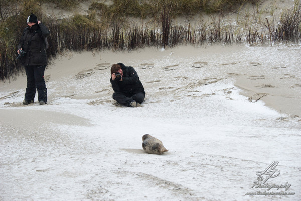 Fotoreise Helgoland - Januar 2015 / Foto: Linda Peinemann