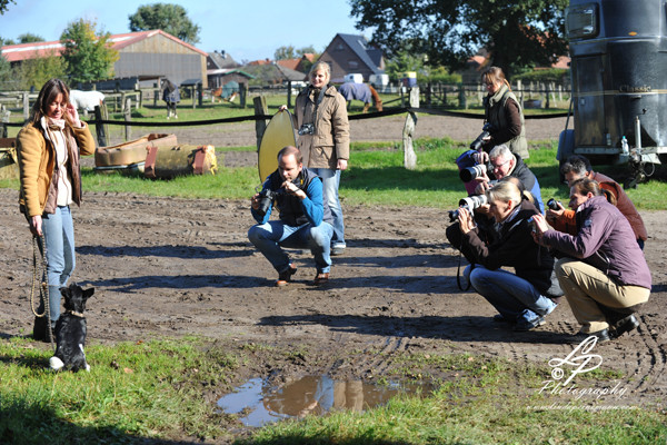 Pferde und Hundefotografie Workshop mit Linda in Hamburg