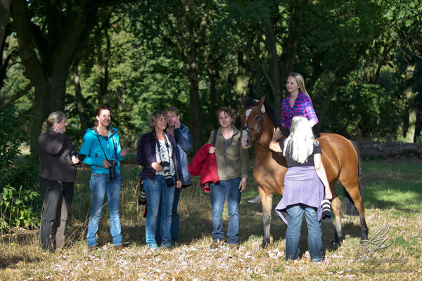 Pferdefotografie - Pferdemuseum Verden September 2014 - Leitung und Fotografie Linda Peinemann