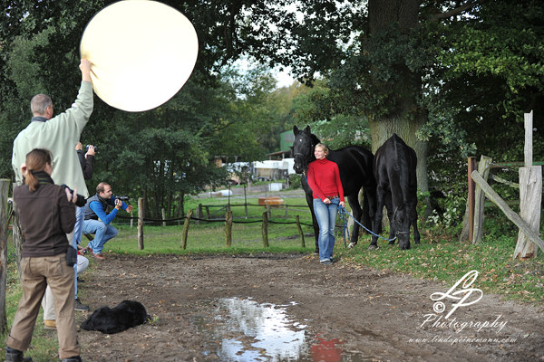 Pferde und Hundefotografie Workshop mit Linda in Hamburg