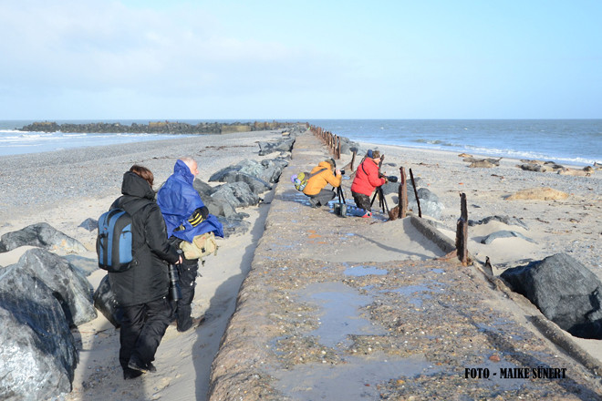 Fotoreise Helgoland - Januar 2015 / Foto: Maike Sünert