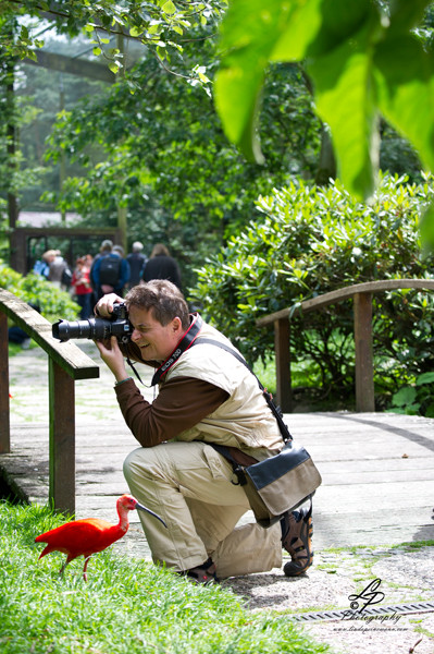 VHS Twistringen Workshop / Vogelpark Walsrode Juni 2014